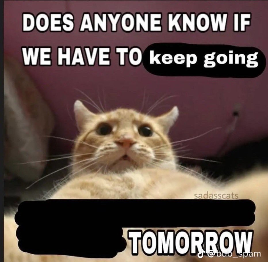 a meme with a cat on it. the text says does anyone know if we have to keep going tomorrow